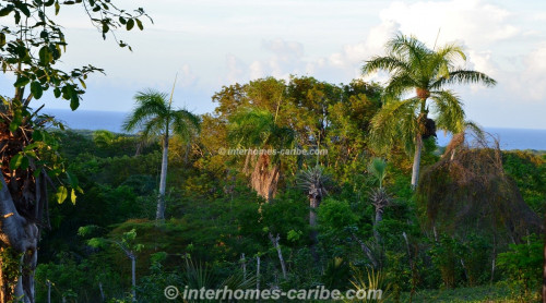 photos for SOSUA: LOT VISTA OCEANA